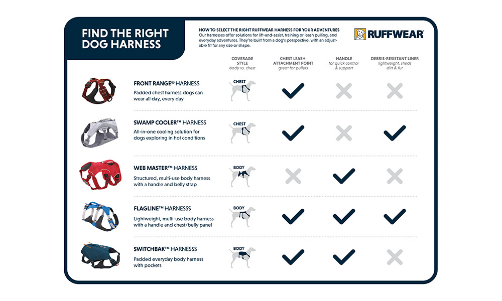 Choosing the right harness for your dog OS GetOutside